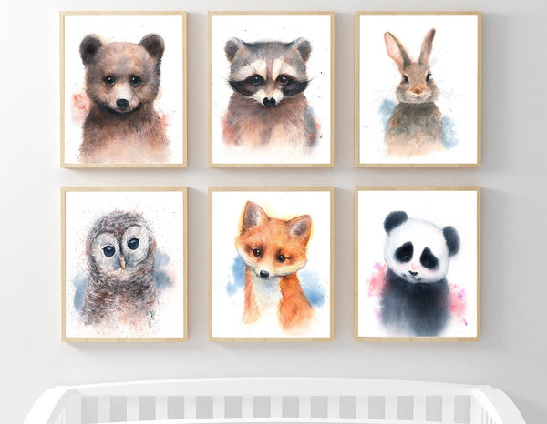 Nursery Decor Owl Bear Raccoon 2024 Canvas Prints